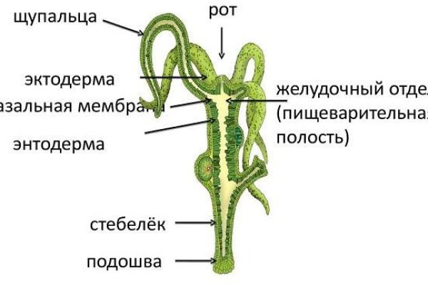 Кракен сайт store