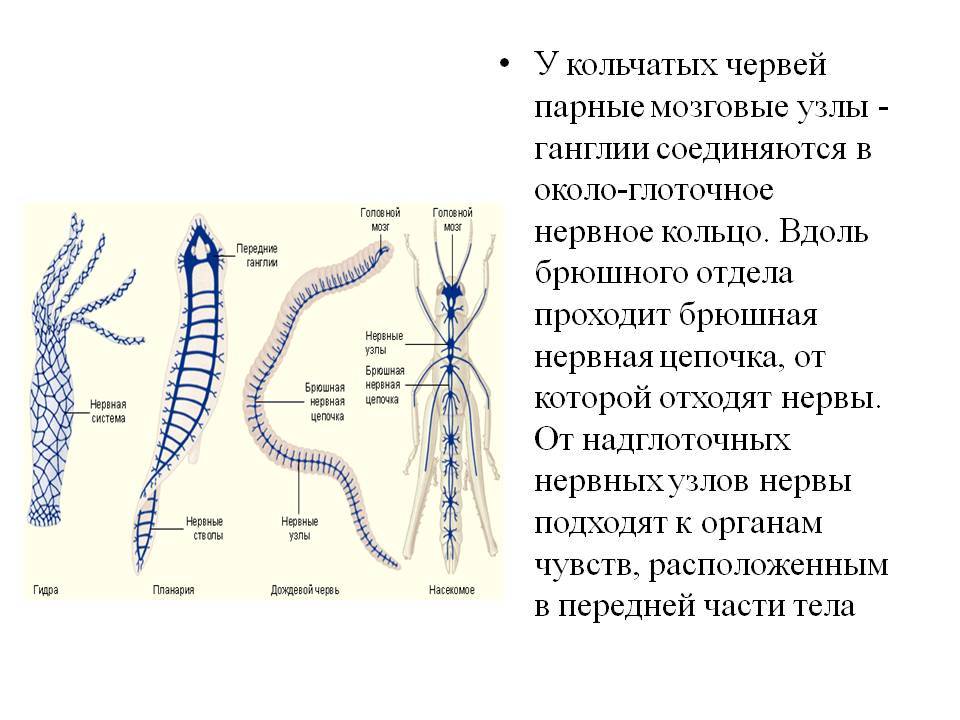 Регистрация на kraken com